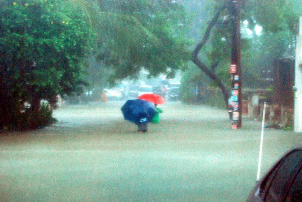 台風による浸水・暴風雨の様子