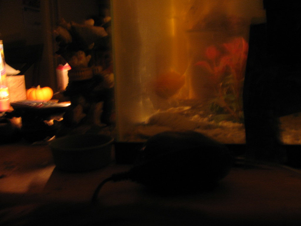 停電時にろうそくを灯す部屋